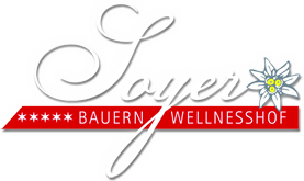 logo soyer