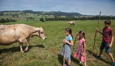 landwirtschaft